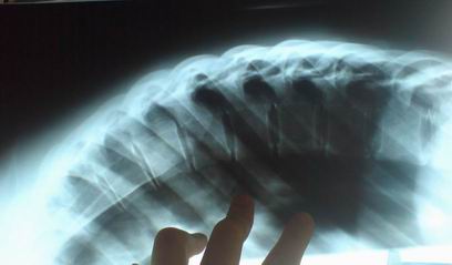 Resize of Resize of DSC02920.JPG