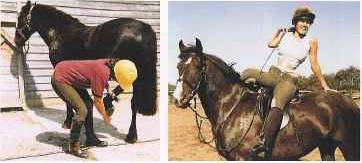 no operation sporting life29.jpg