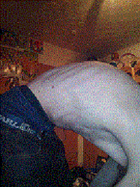 Rücken gebückt.gif
