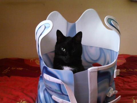 Picture 41_480x360.jpg