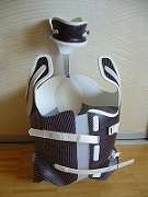 Das ist mein aktuelles Korsett.